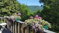 The Falcon's Bluff Property