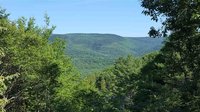 The Falcon's Bluff Property